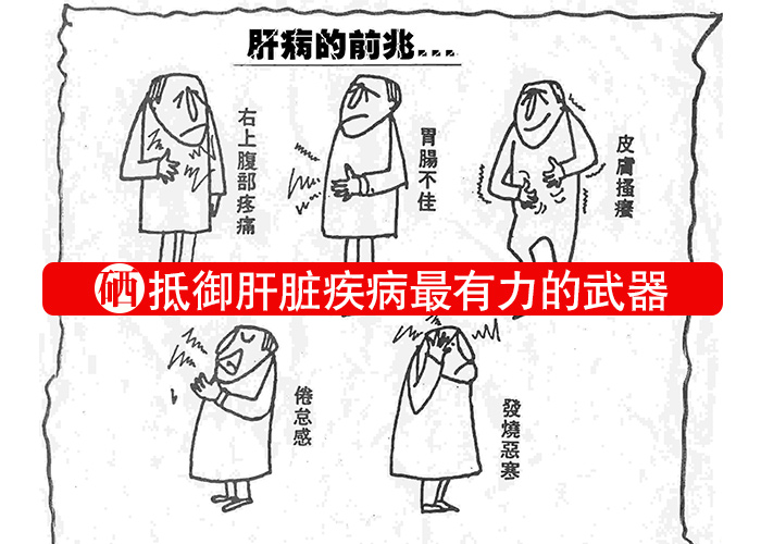 硒，抵御肝臟疾病最有力的武器