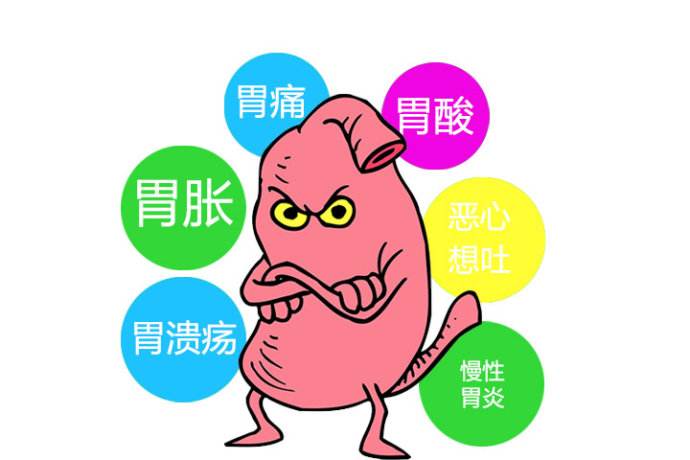 胃不好的人如何養(yǎng)胃？平時可多吃含硒食物