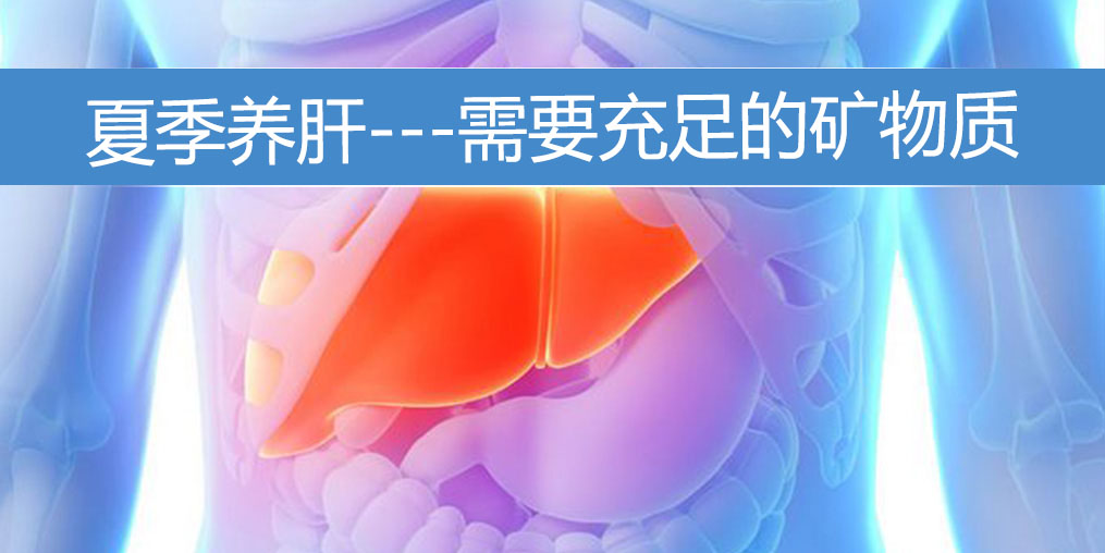 夏季養(yǎng)肝需要充足的礦物質(zhì)，保護(hù)肝功能