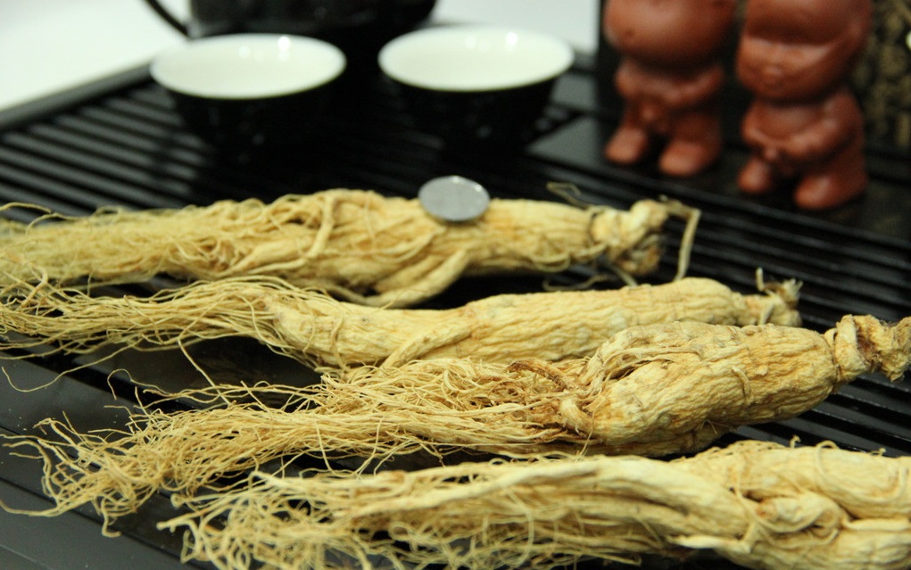 什么是人參皂苷？它對人體的健康有哪些功效？
