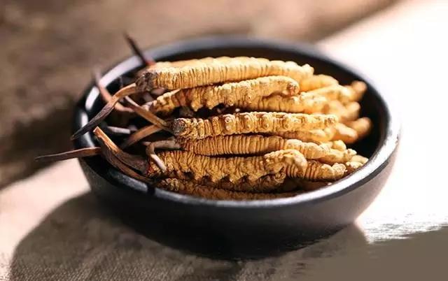 冬蟲(chóng)夏草為什么得到很多人的認(rèn)可？
