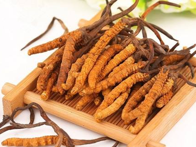 蟲草素？冬蟲夏草里的蟲草素是什么？