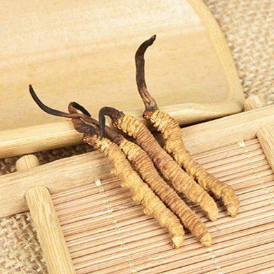 提高免疫力，冬蟲夏草是個(gè)好幫手