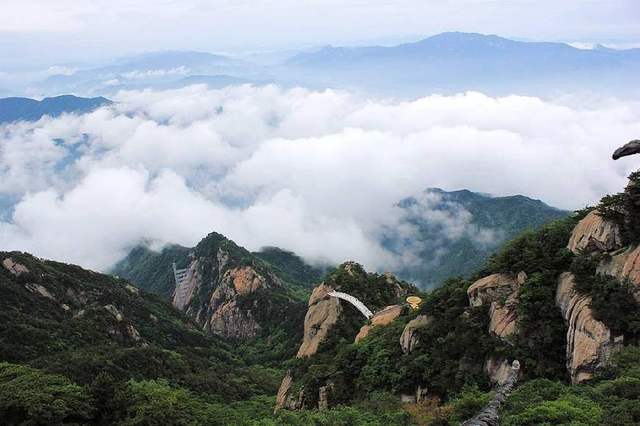 大別山的靈芝孢子粉為什么好？