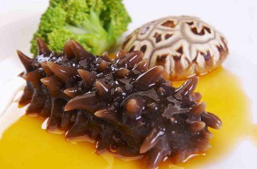 關(guān)于海參的冷知識，您知道嗎？