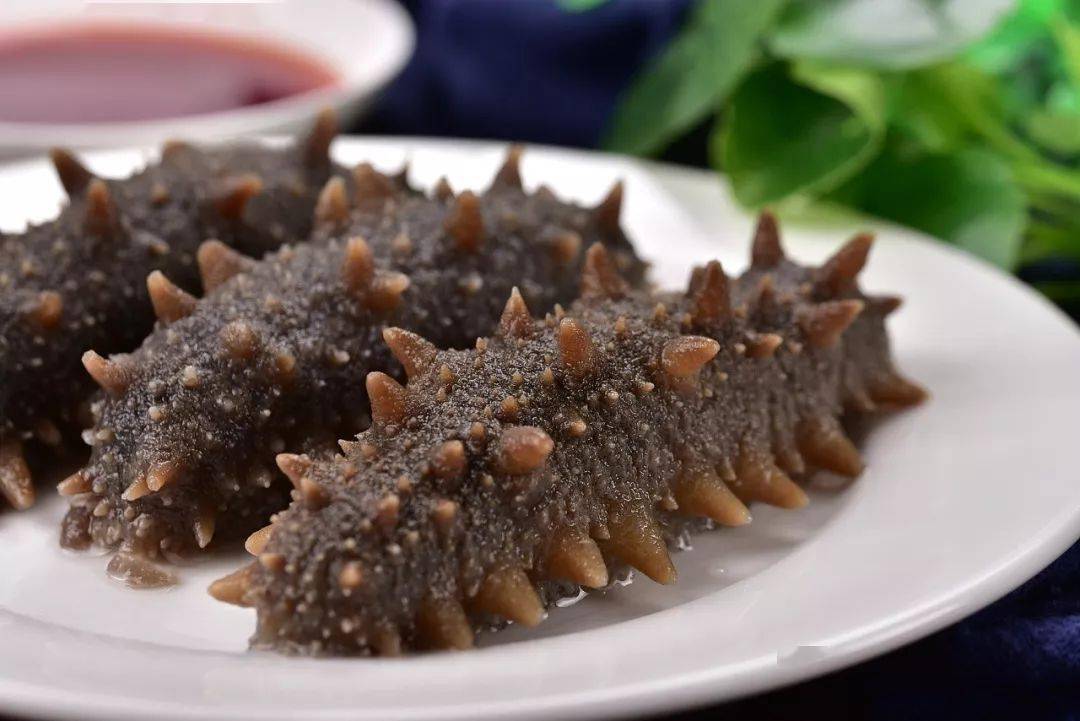 夏季能不能吃海參滋補身體呢？